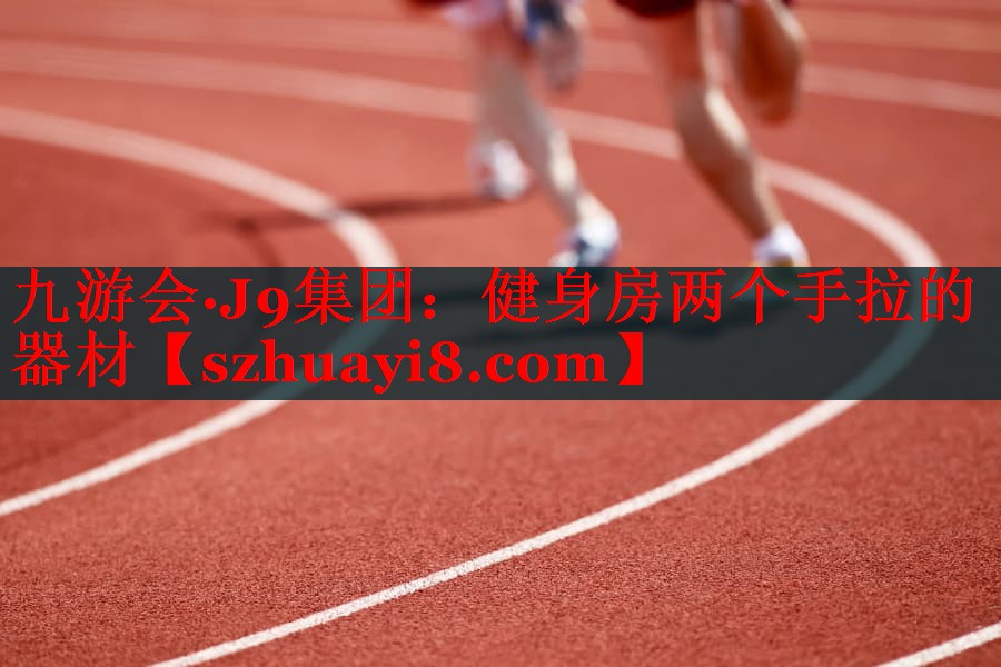 健身房两个手拉的器材 健身房两个手拉的器材